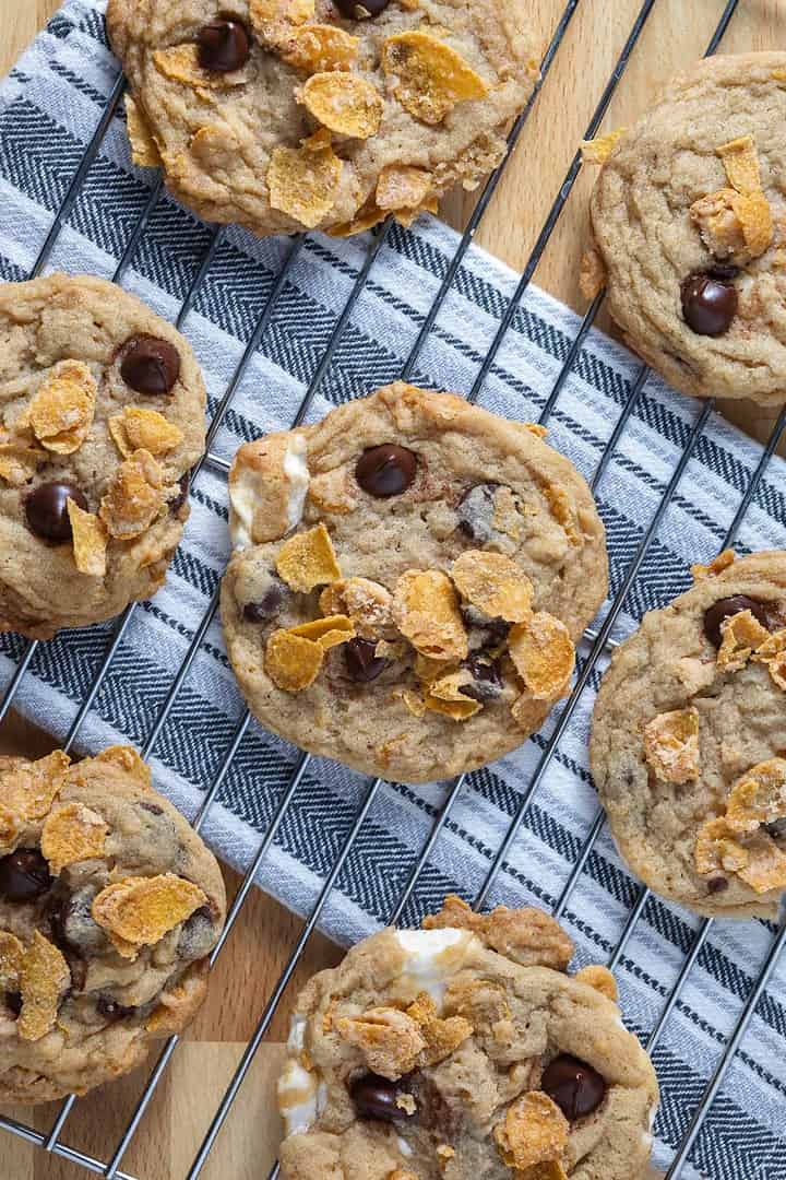Overhead shot of vegan chocolate chip cookies made from this cornflake cookies Milk Bar copycat recipe