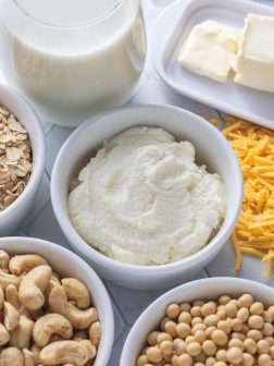 Vegan Non Dairy category picture with various plant based dairy items and ingredients to make them.