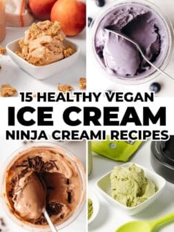 selected recipes from the list of 15 healthy vegan ice cream recipes