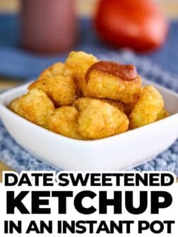 date sweetened ketchup made in the instant pot